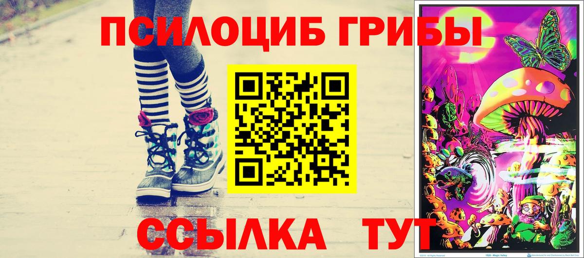 Нижний Тагил  Галлюциногенные грибы Psilocybe  Вход с VPN 